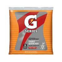 Gatorade 33691 Gatorade 21 Ounce Instant Powder Pouch Fruit Punch Electrolyte Drink - Yields 2 1/2 Gallons (32 Packets Per Case)